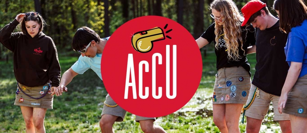 accu_twizzit.jpg